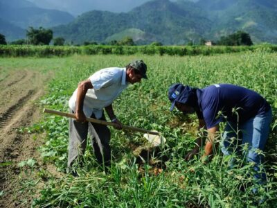 CAE do Senado aprova renegociação de dívidas rurais com recursos do pré-sal