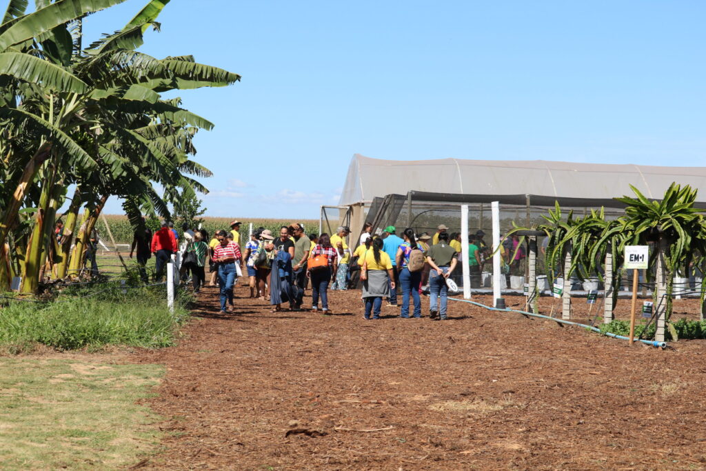 Emater-DF leva circuito de fruticultura diversificada à AgroBrasília
