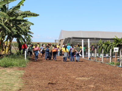 Emater-DF leva circuito de fruticultura diversificada à AgroBrasília