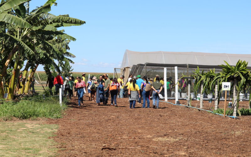 Emater-DF leva circuito de fruticultura diversificada à AgroBrasília