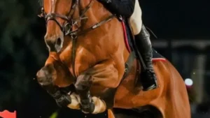 Candangão 2026: Hipismo de Brasília reúne elite do salto em junho