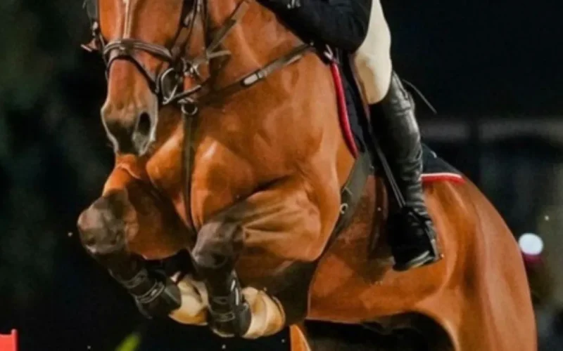 Candangão 2026: Hipismo de Brasília reúne elite do salto em junho