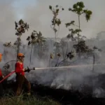 El Niño deve ser um dos maiores já registrados, dizem EUA