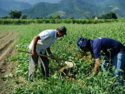 DF orienta como regularizar ocupação de área rural