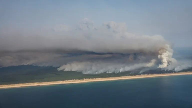 Incêndio na França: Cap Ferret vira zona de catástrofe